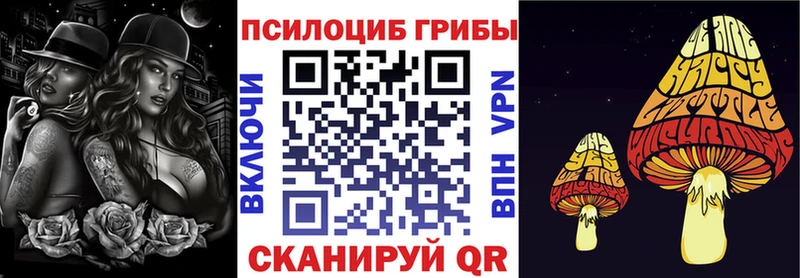 Галлюциногенные грибы Psilocybe  наркошоп  Батайск 
