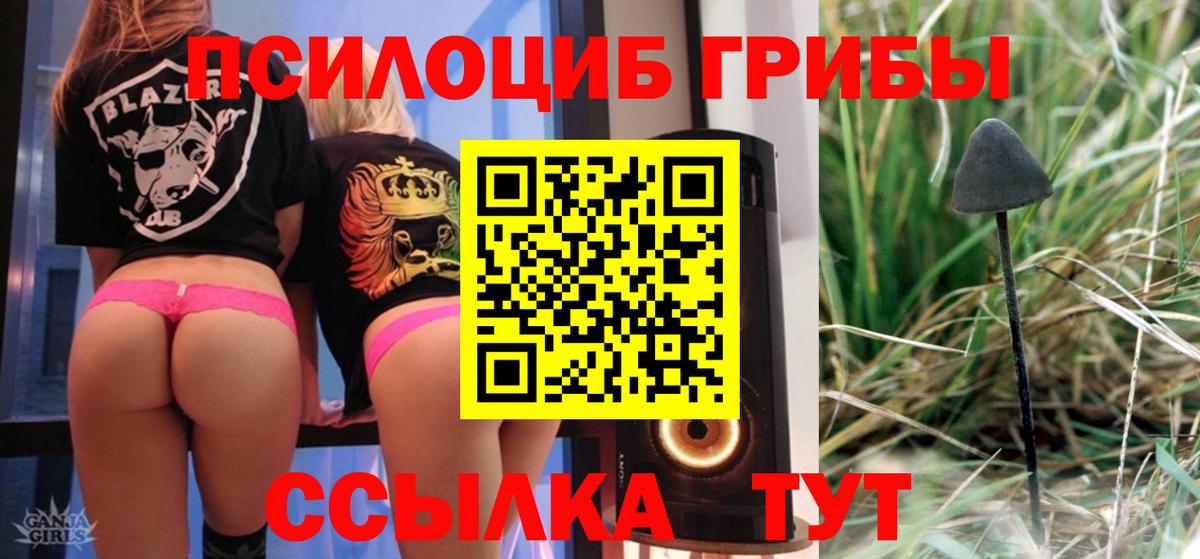 Псилоцибиновые грибы Psilocybine cubensis Батайск