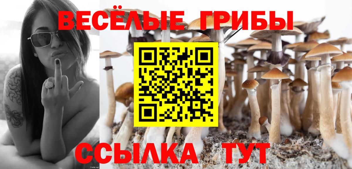 Псилоцибиновые грибы Magic Shrooms  Батайск 